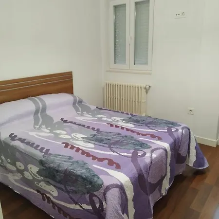Calle Toledo Apartment Salamanca